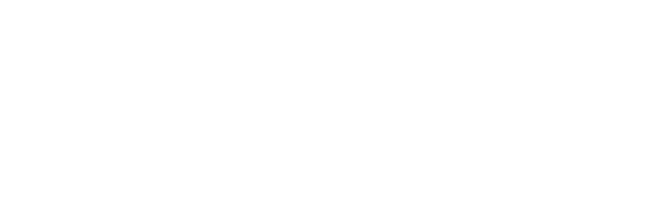 Zebra logo